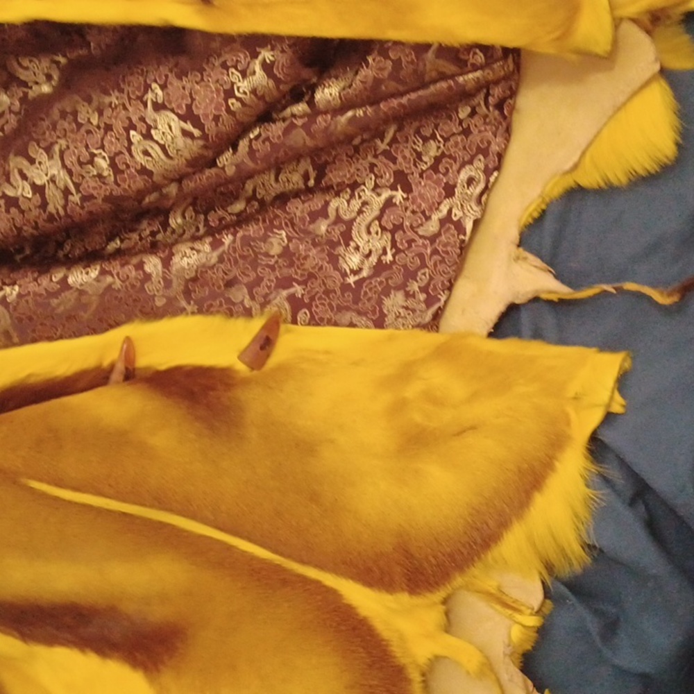 A Beau gosse0 yellow brown leather skin - Picture 7 of 8